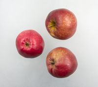 Ildrød Eilstrup æble